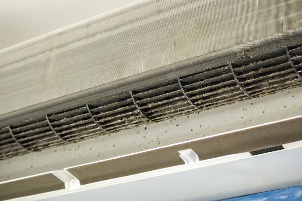 Best Best Air Duct Cleaning Company  in Kingwood, WV